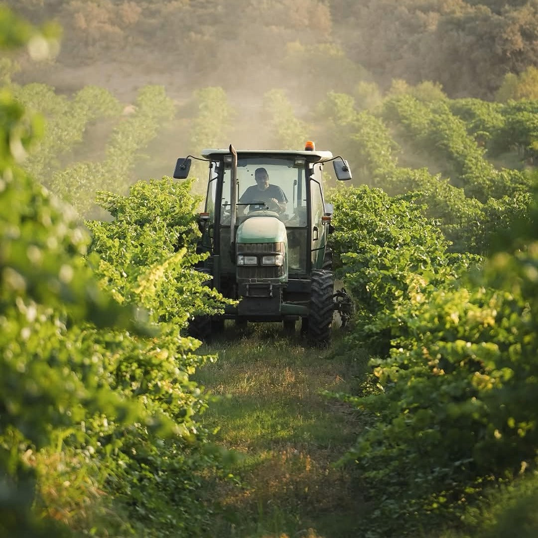 Enate Chardonnay Fermentado en Barrica