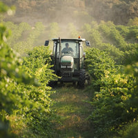 Enate Chardonnay Fermentado en Barrica