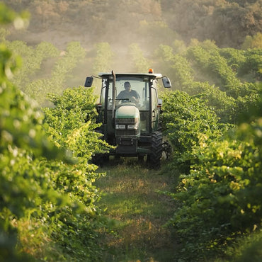 Enate Chardonnay Fermentado Barrica
