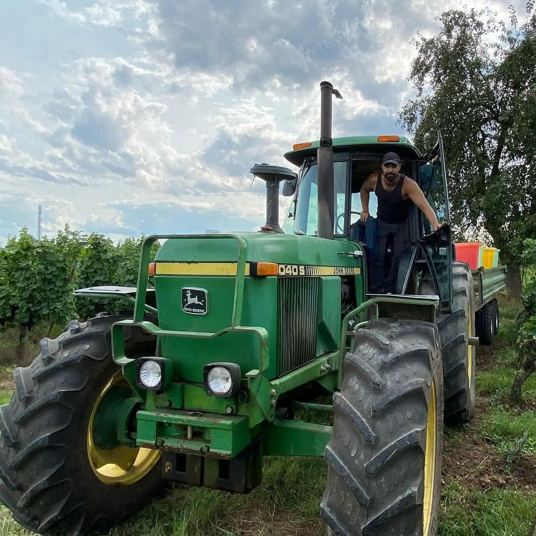 Domaine Fernand Engel Crement D'Alsace Brut Chardonnay