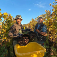 Domaine Fernand Engel Crement D'Alsace Brut Chardonnay