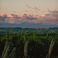 Las Estelas Leticia Cabernet Cabernet