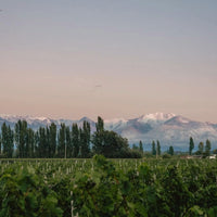 Las Estelas Leticia Cabernet Cabernet