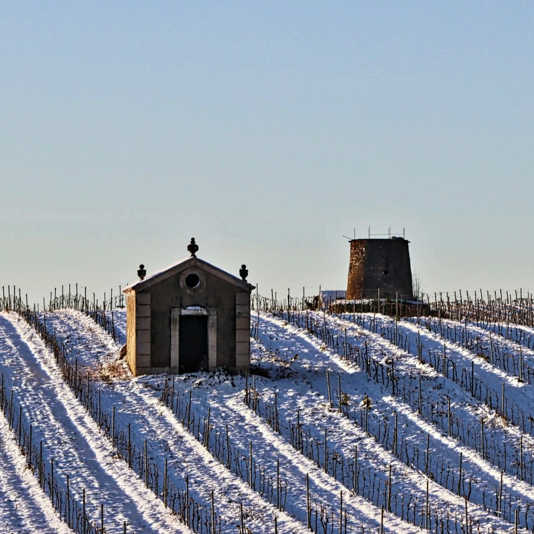 Mas Olivier Faugeres Blanc