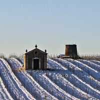 Mas Olivier Faugeres Blanc