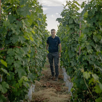 Finca Flichman Misterio Malbec
