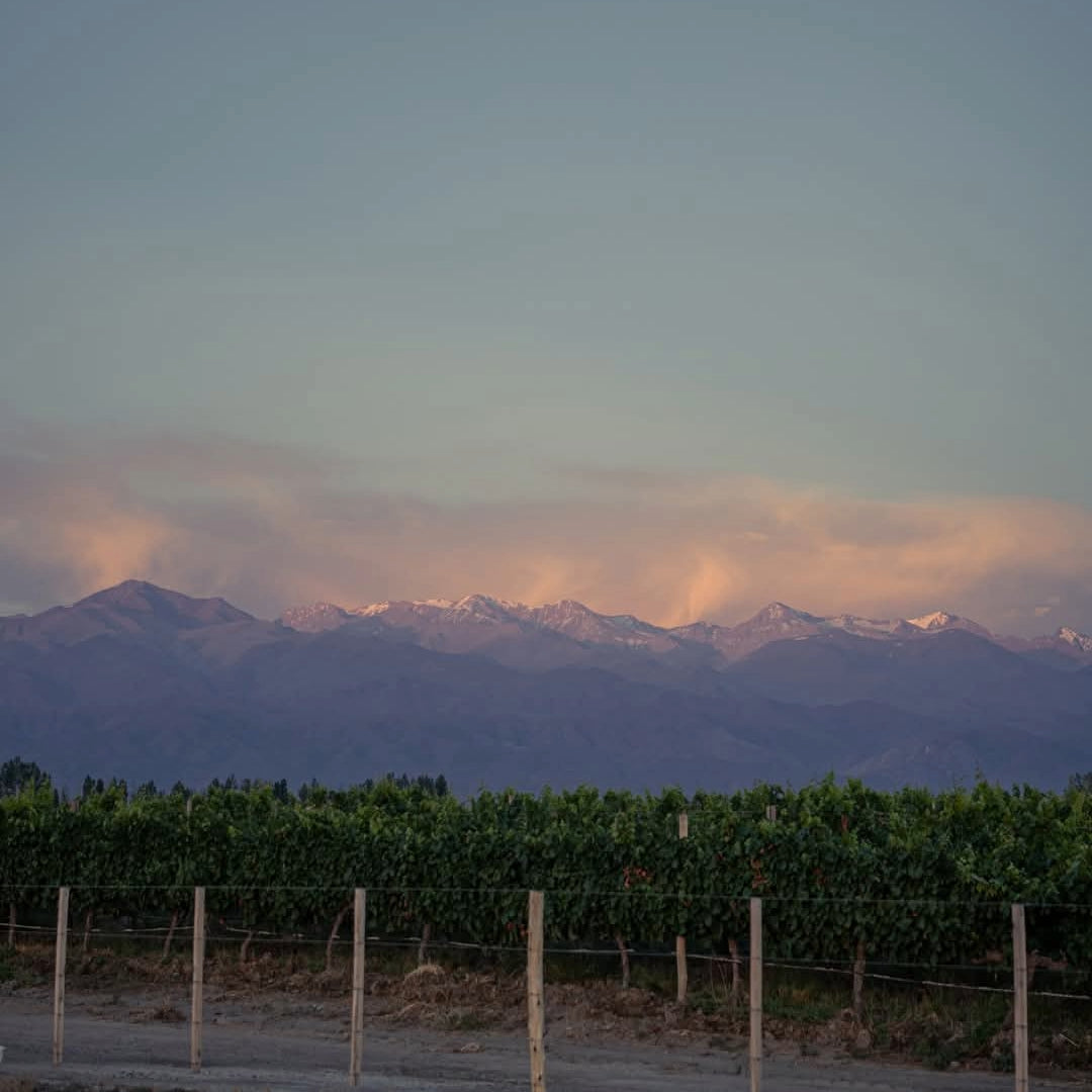 Finca Flichman Misterio Malbec