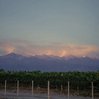 Finca Flichman Misterio Malbec