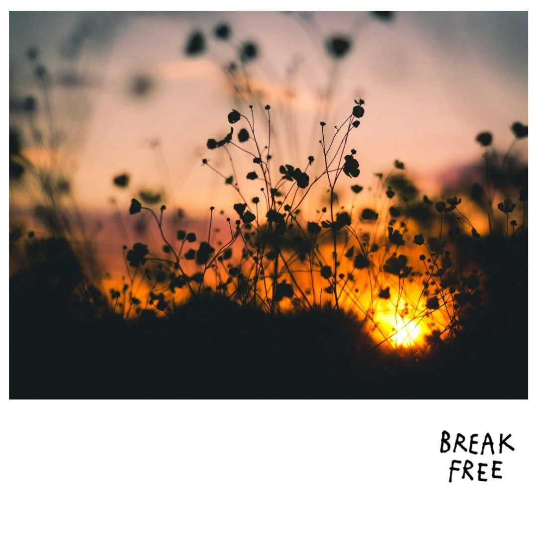 Break Free Bliss Bomb Pet-Nat