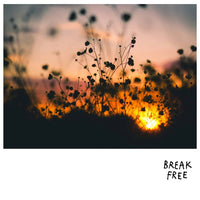 Break Free Bliss Bomb Pet-Nat