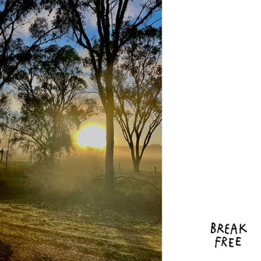 Break Free Bliss Bomb Pet-Nat