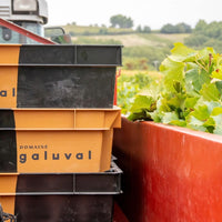 Domaine Galuval Le Coq Volant Cote Du Rhone Villages Rouge