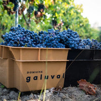 Domaine Galuval Le Coq Volant Cote Du Rhone Villages Rouge