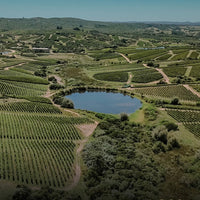 Garzon Tannat Reserva