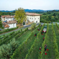 Gradis'ciutta Friuli Friulano