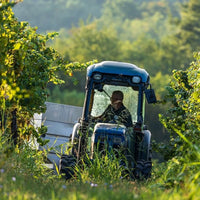 Gradis'ciutta Friuli Friulano