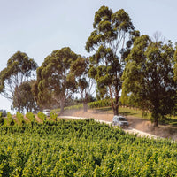 Greywacke Sauvignon Blanc