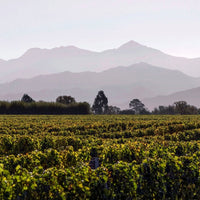 Greywacke Sauvignon Blanc