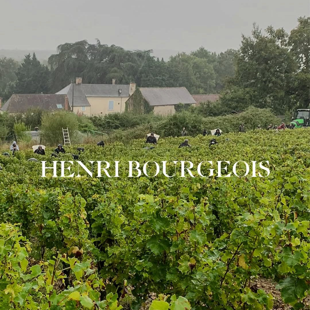 Henri Bourgeois Sancerre la Vignes Blanches
