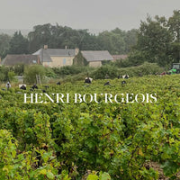 Henri Bourgeois Sancerre la Vignes Blanches