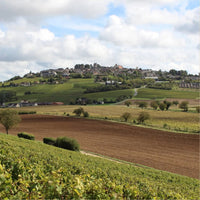 Henri Bourgeois Sancerre la Vignes Blanches