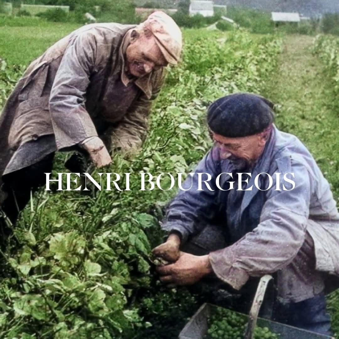 Henri Bourgeois Sancerre la Vignes Blanches