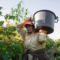 Jose Maria Da Fonseca Setubal Tinto Reserva