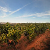 Juan Gil Monastrell 4 Meses