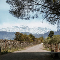 Kaiken Classico Malbec