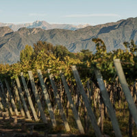 Kaiken Classico Malbec