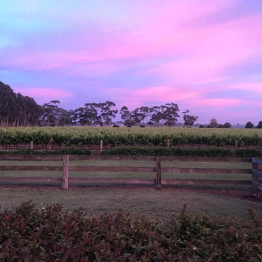 Killibinbin Seduction Cabernet Sauvignon