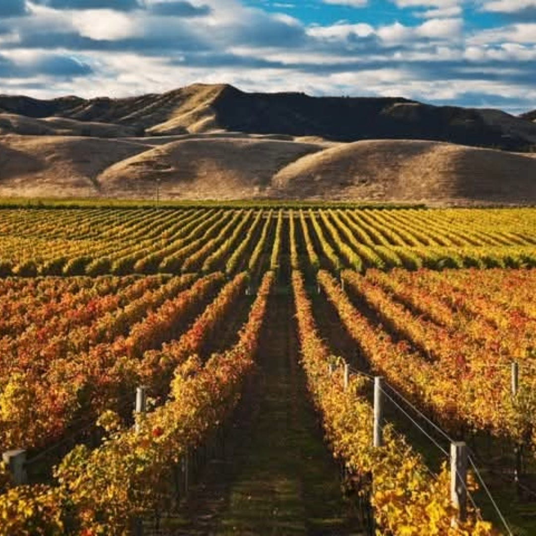 Kim Crawford Sauvignon Blanc