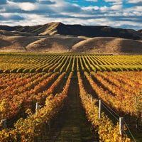 Kim Crawford Sauvignon Blanc