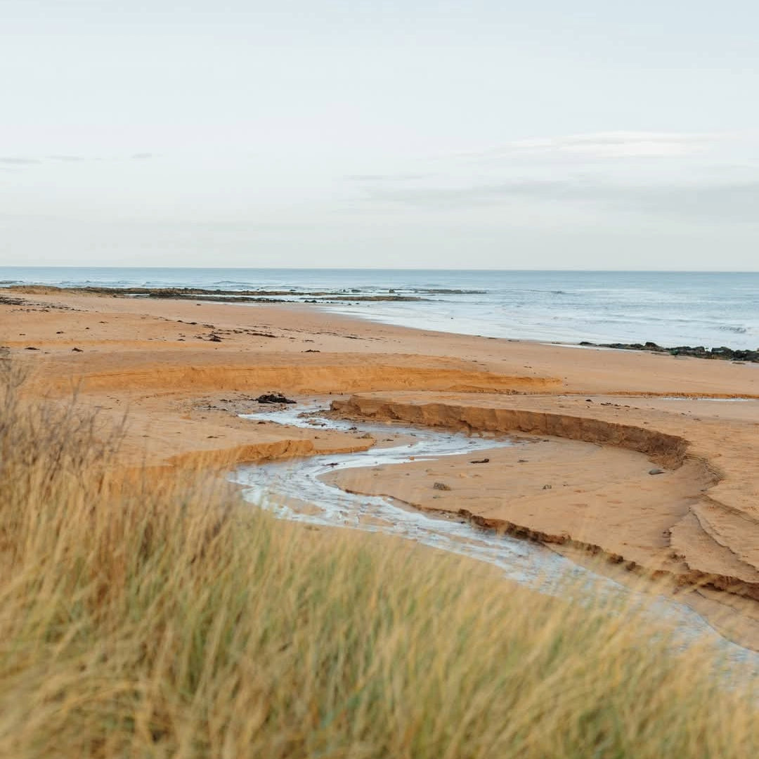 Kingsbarns Doocot