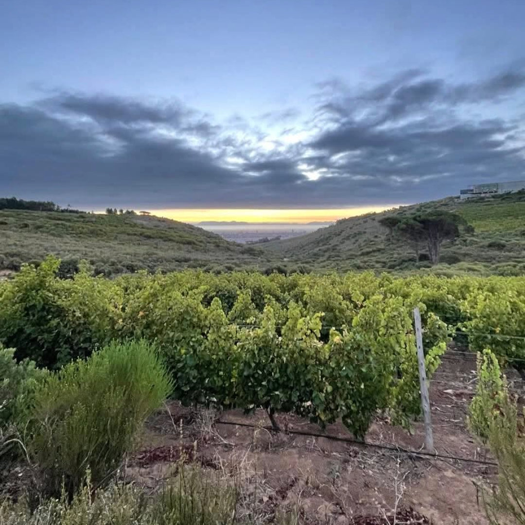 Waterkloof Circumstance Cabernet Sauvignon