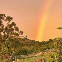 Waterkloof 'Seriously Cool' Cinsault