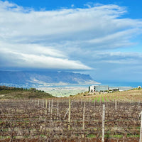 Waterkloof Circumstance Cabernet Sauvignon