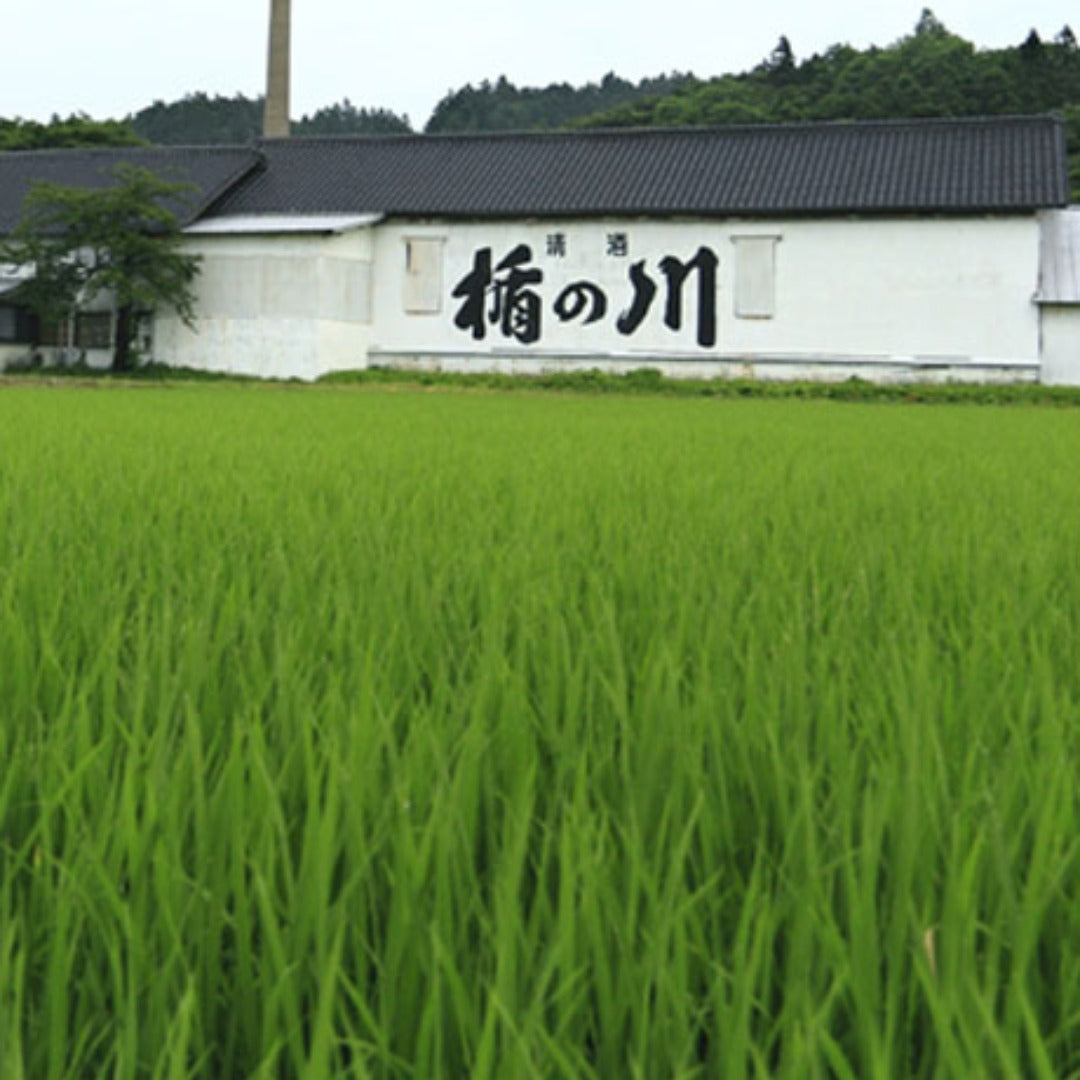 Kodakara Dry Ginger Liqueur