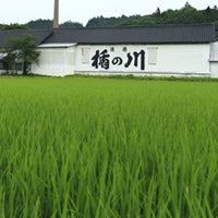 Kodakara Dry Ginger Liqueur