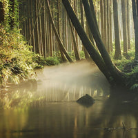 Kodakara Dry Ginger Liqueur