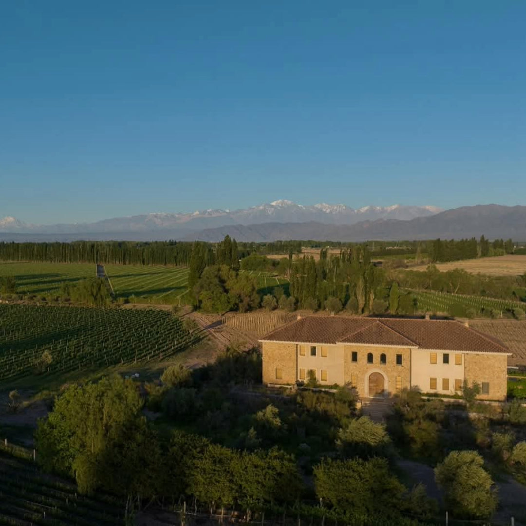 Solar Del Alma Torrontes
