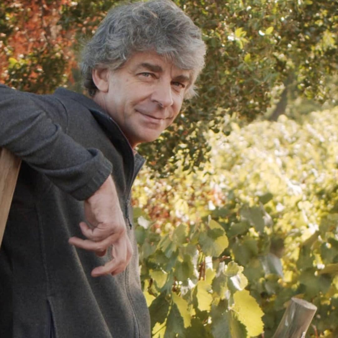 Laberinto Cenizas Pinot Noir