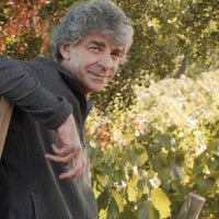 Laberinto Cenizas Pinot Noir
