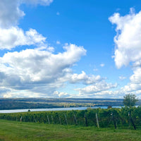 Lamoreaux Landing Rock Round Riesling