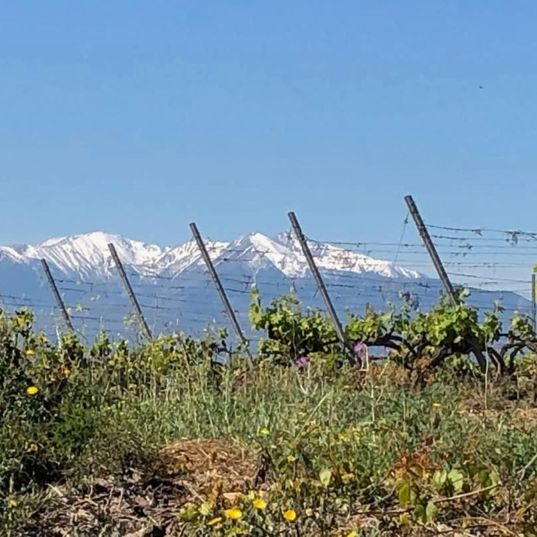 J.Laurens les Graimenous Cremant de Limoux