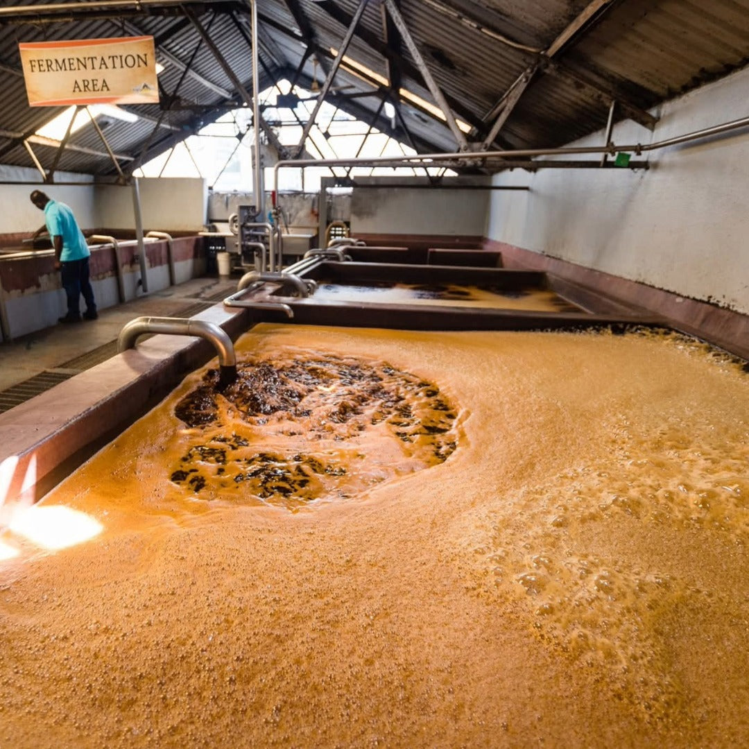 Admiral Rodney HMS Princessa