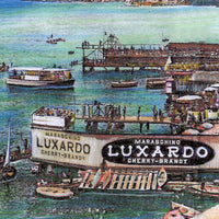 Luxardo Kirsch 50cl