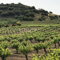 Makarounas Vineyards Giannoudi