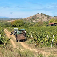 Georgiev & Milkov Mix Tape