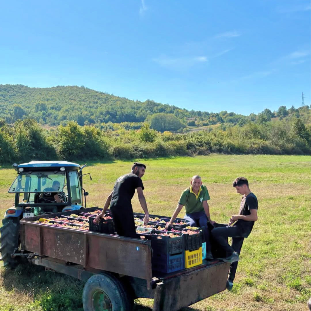 Georgiev & Milkov Mix Tape